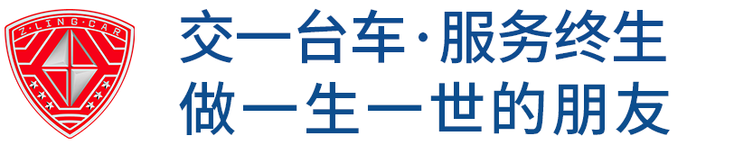 电动巡逻车-电动环卫车-电动消防车-货斗巡逻车,生产厂家-五菱